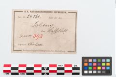 Etikett zu Bronzebrillenfibel (NHMW-PRAE-024860)